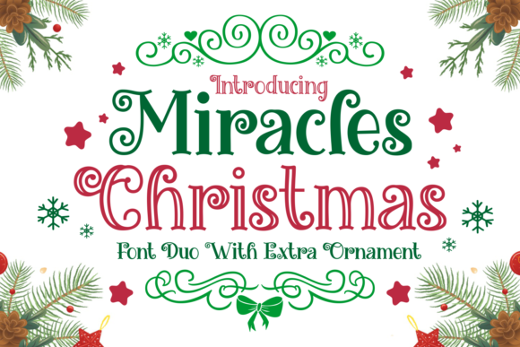 Miracles Christmas Display